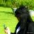 Teresa Michal Flisiuk's profile image