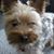 Judy Rose's profile image