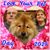 Deborah Gallagher Jenkins's profile image