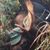 Rich Stemm's profile image