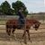 Debbie Herbeck's profile image