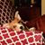 Florence Murray Boggs's profile image