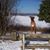 Colleen Dougherty Kimmel's profile image