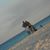 Augusto Lizzi's profile image