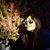 Jackie Ho'okano's profile image