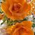 Regina Giles's profile image