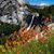Catherine Donley Maldoff's profile image