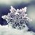 Jennifer Wilson Jones's profile image