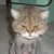 Liz Gregoire's profile image