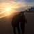 Katie Kiser Hartgrove's profile image