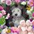 Stacy D Gley's profile image