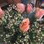 Marie Newcombe's profile image