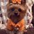 Nita Hoag's profile image