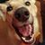 Ron Radtke's profile image