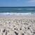 Wendy Michelle Matthews Zaleski's profile image