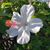 Maureen Simak's profile image