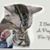 Glenda Jerry Burns's profile image