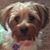 Barb Kibler Huebner's profile image