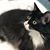 Diane Davidson's profile image