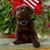 Beckie Bowers's profile image