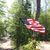 Kathleen Naasko Sarver's profile image