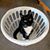 Kimberly Davis Haller's profile image