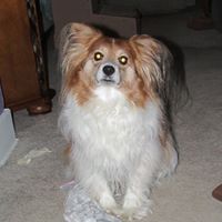 Jane Tracy Raab's profile image