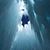 Ashish Malhotra's profile image