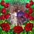 Mari Lulu Maes's profile image