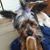 Debbie Bethell's profile image