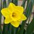 Penny Barnes's profile image