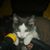Laura Koser's profile image