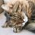 Dianne Marie Thomas's profile image