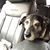 Lacey Herring's profile image