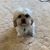 Jamie Adkins Cardwell's profile image