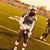 Day McGhee's profile image