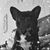 Sarah Martinek's profile image