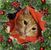 Cassie Bayack's profile image