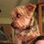 Cindy O'Barr's profile image