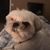 Elizabeth Criss's profile image