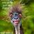 Brian Hallenberg's profile image