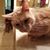 Carolyn Kron's profile image