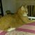 Sandy Miles's profile image