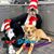 Stacy McWethy Knoop's profile image