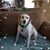 Carol Shaw Foote's profile image