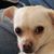 Heather Hafeman-Smet's profile image