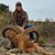 Lindsey Paul's profile image