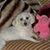 Gail Martinelli's profile image