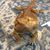 Lisa M Stone's profile image