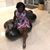 Clavia Jolene's profile image